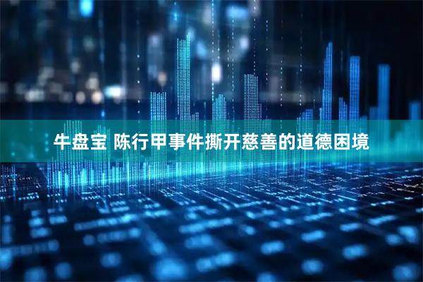 牛盘宝 陈行甲事件撕开慈善的道德困境