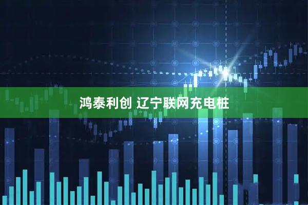 鸿泰利创 辽宁联网充电桩