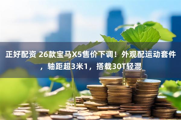 正好配资 26款宝马X5售价下调！外观配运动套件，轴距超3米1，搭载30T轻混