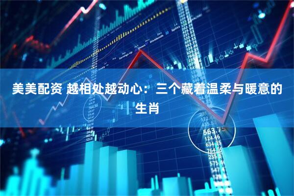 美美配资 越相处越动心：三个藏着温柔与暖意的生肖